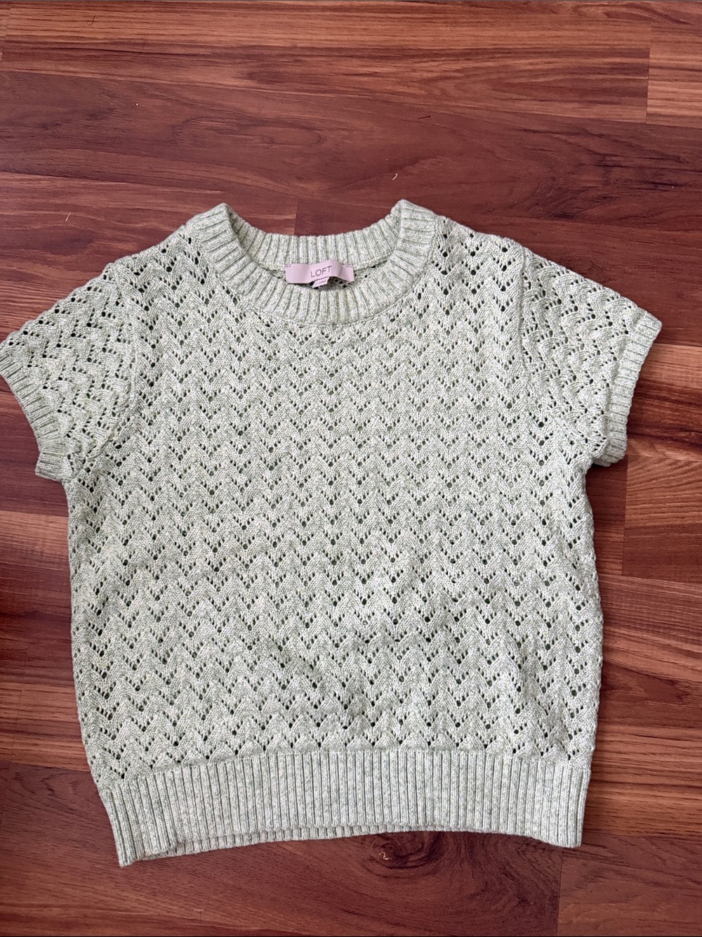 LOFT Pale Mint Short Sleeve Eyelet Knit Top